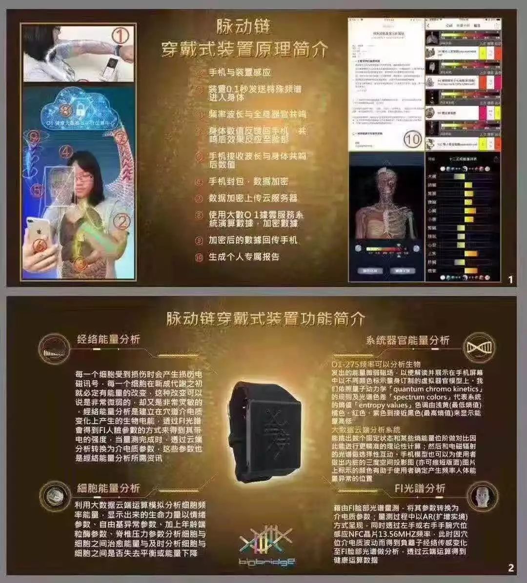 脉动链最新动态，引领数字时代新浪潮