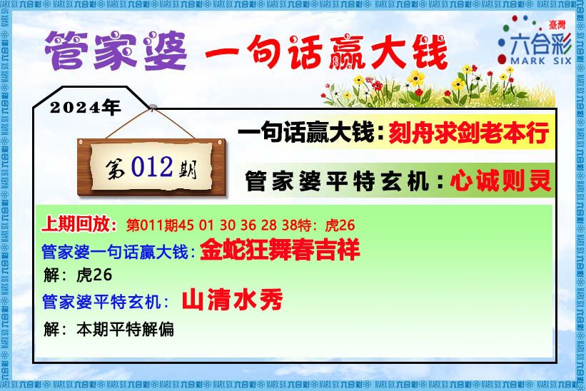 管家婆一码中一肖2024,经验解答解释落实_理财版86.174