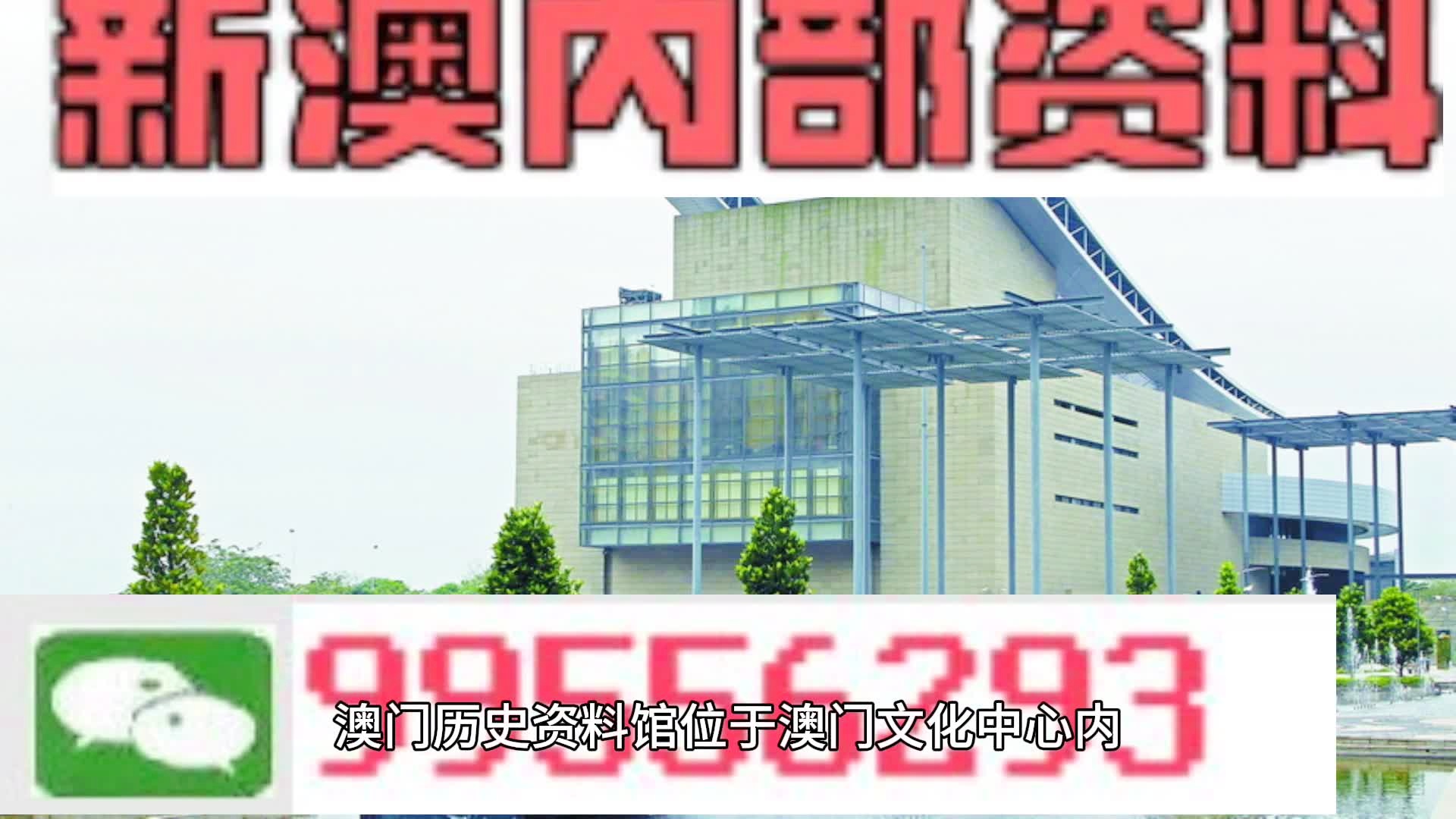 2024年新澳门天天开彩,创造力策略实施推广_运动版23.255