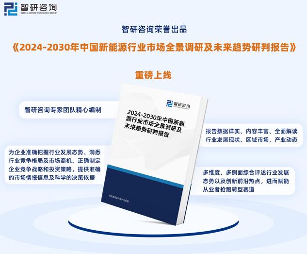 2024新奥正版资料免费,经济性执行方案剖析_潮流版85.395