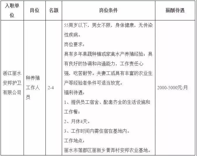 2024新奥历史开奖记录香港1,高效实施方法解析_WearOS40.154