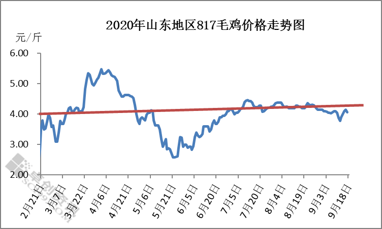 肉毛鸡价格最新行情分析与走势预测