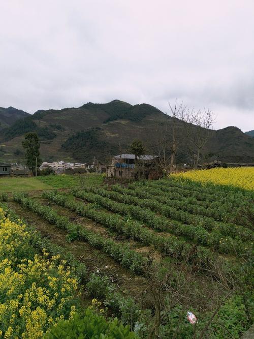 水长乡文屏镇天气预报更新通知