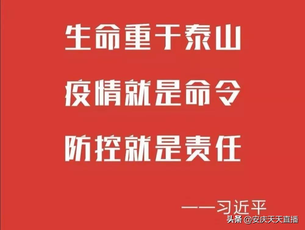 安徽疫情最新报告深度解读与分析